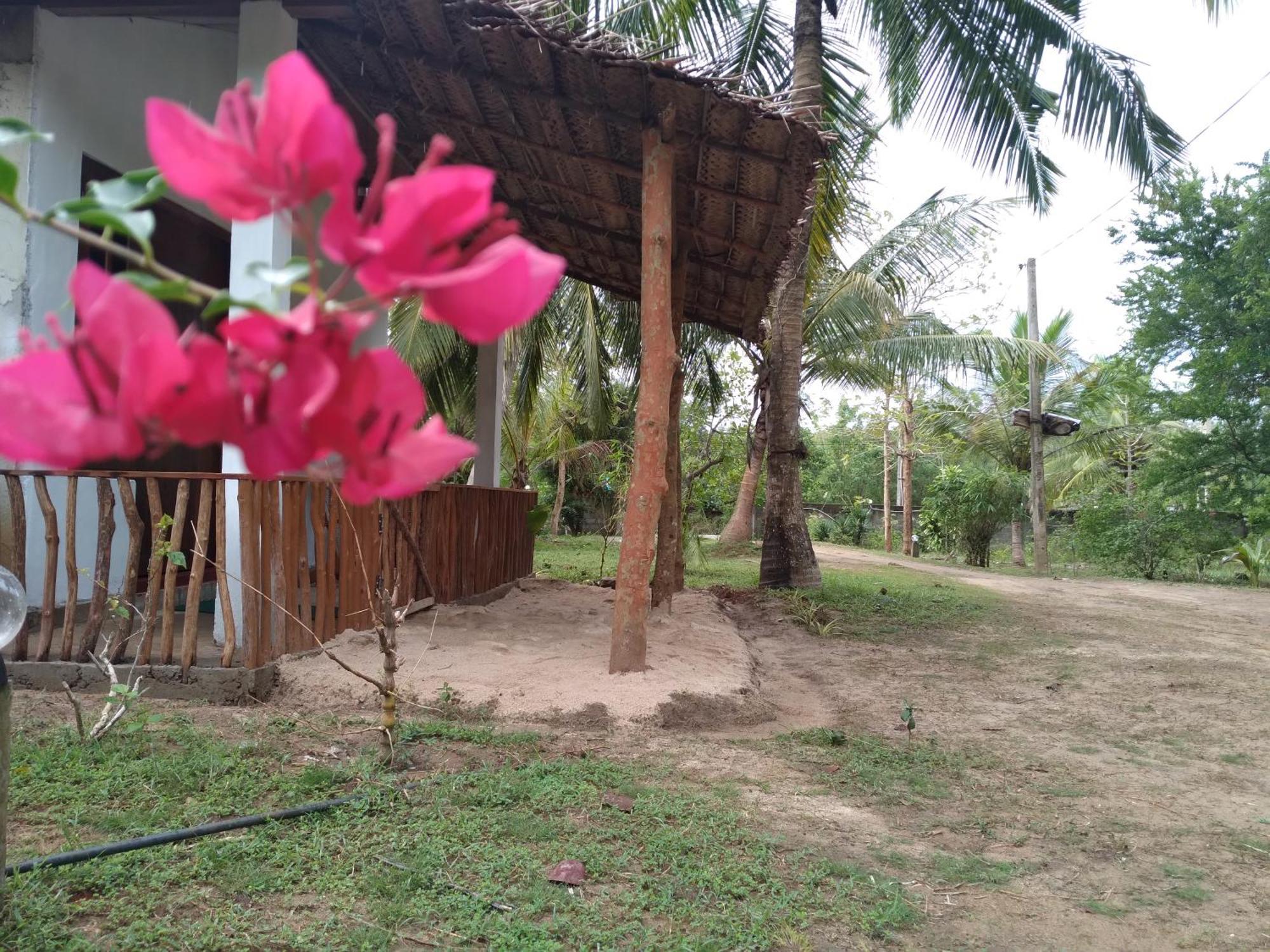Soma Cabana, Homestay & Restaurant Tangalle Eksteriør bilde
