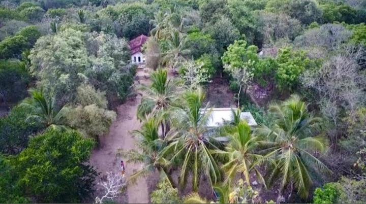 Soma Cabana, Homestay & Restaurant Tangalle Eksteriør bilde