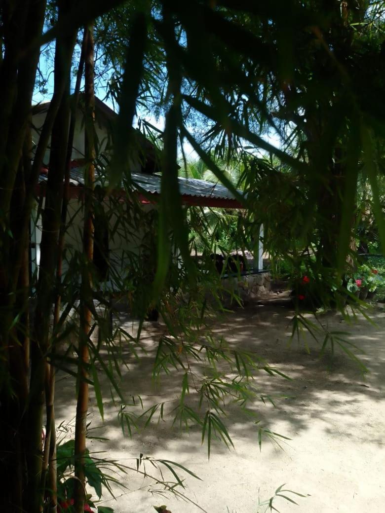 Soma Cabana, Homestay & Restaurant Tangalle Eksteriør bilde