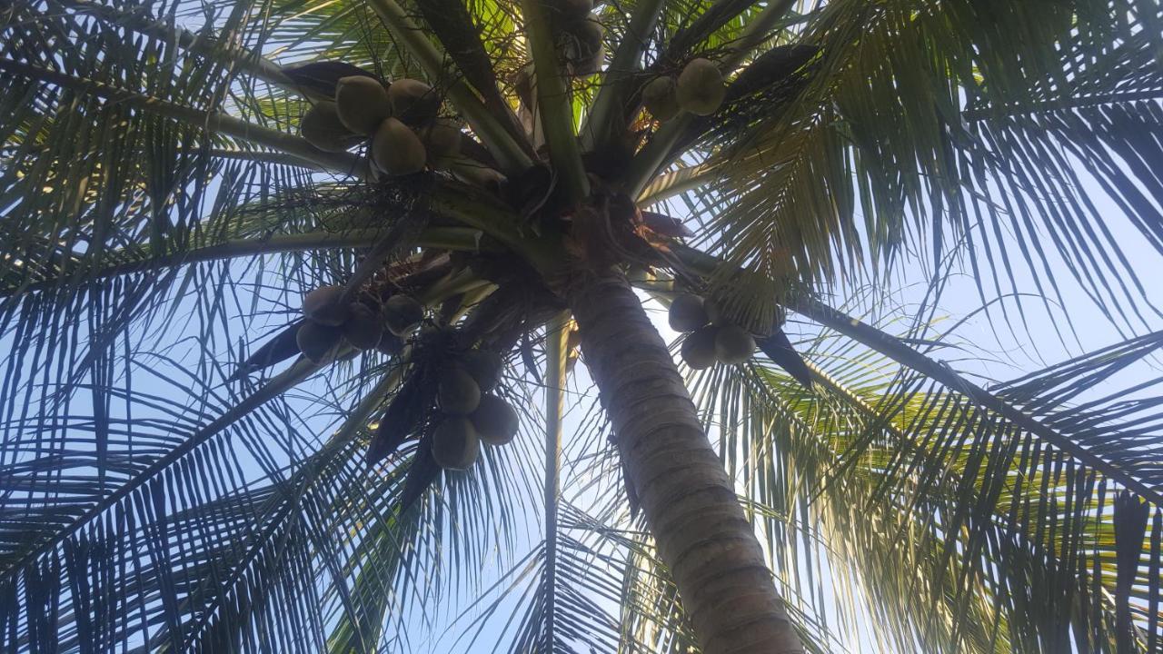 Soma Cabana, Homestay & Restaurant Tangalle Eksteriør bilde